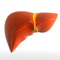 PbgBppzrKMRB9rLbKzb5Dg-3.jpg PbgBppzrKMRB9rLbKzb5Dg-3.jpg