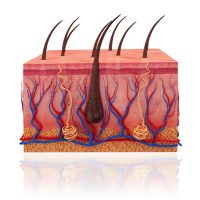 Xte2WrlsCGSuXESI8MI25A-3.jpg Xte2WrlsCGSuXESI8MI25A-3.jpg
